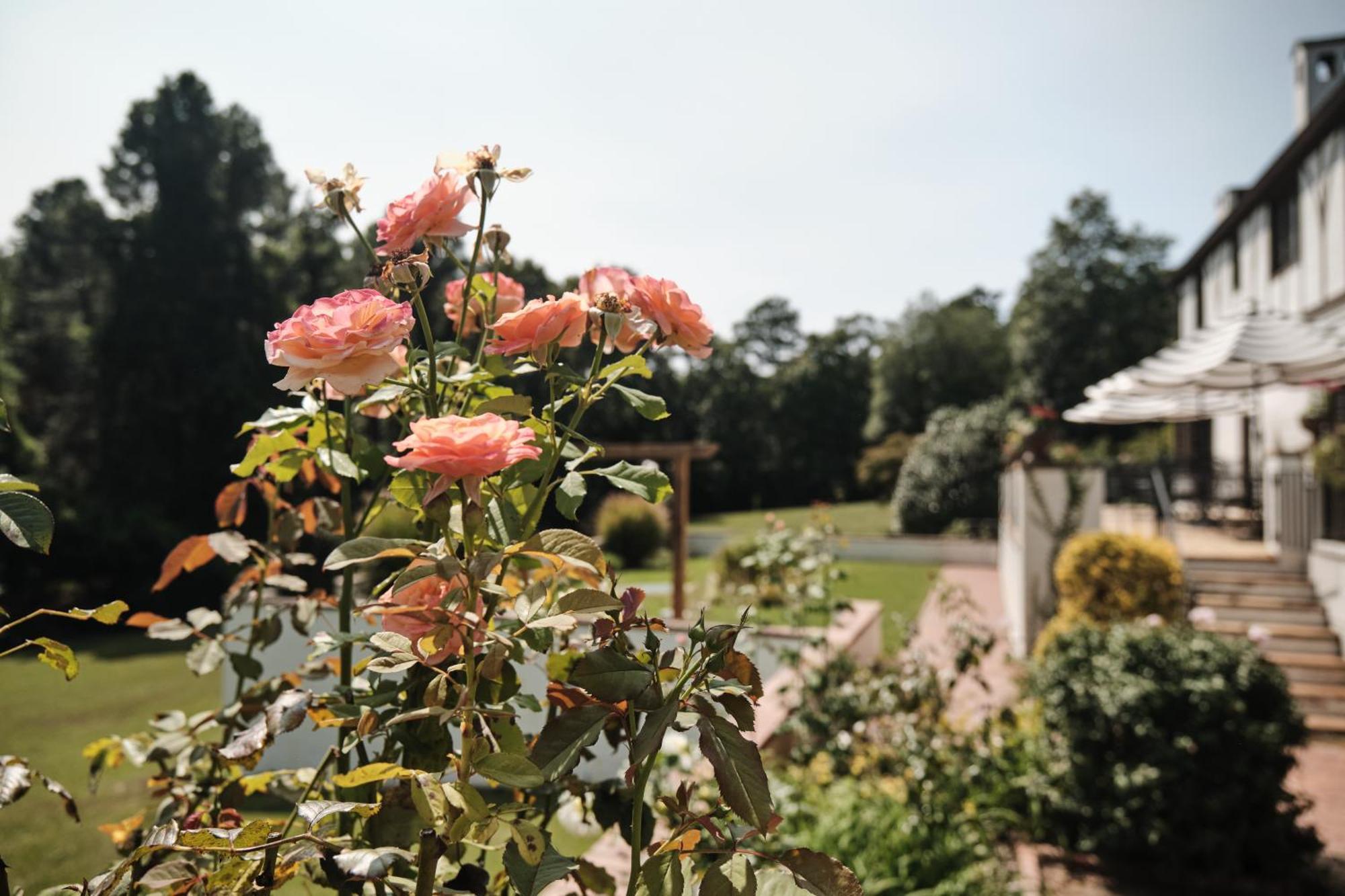 Bed and Breakfast Duncraig Manor Southern Pines Exterior foto